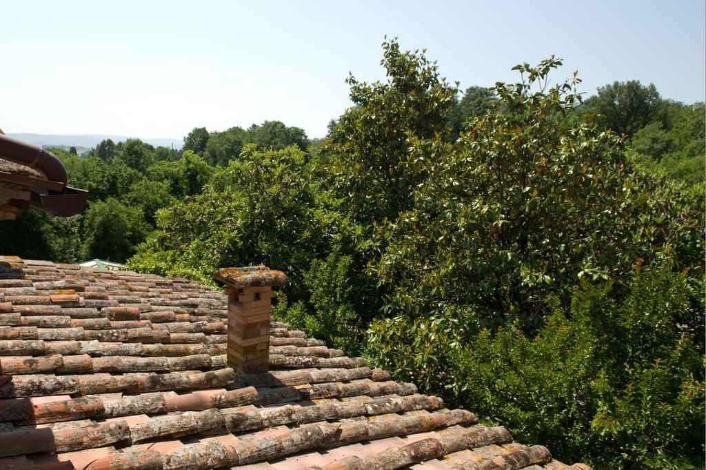 Agriturismo San Giusto Vila Sovicille Exterior foto