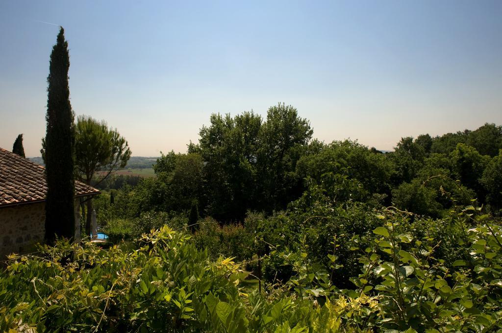 Agriturismo San Giusto Vila Sovicille Exterior foto